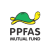 Parag Parikh ELSS Tax Saver Fund (G)