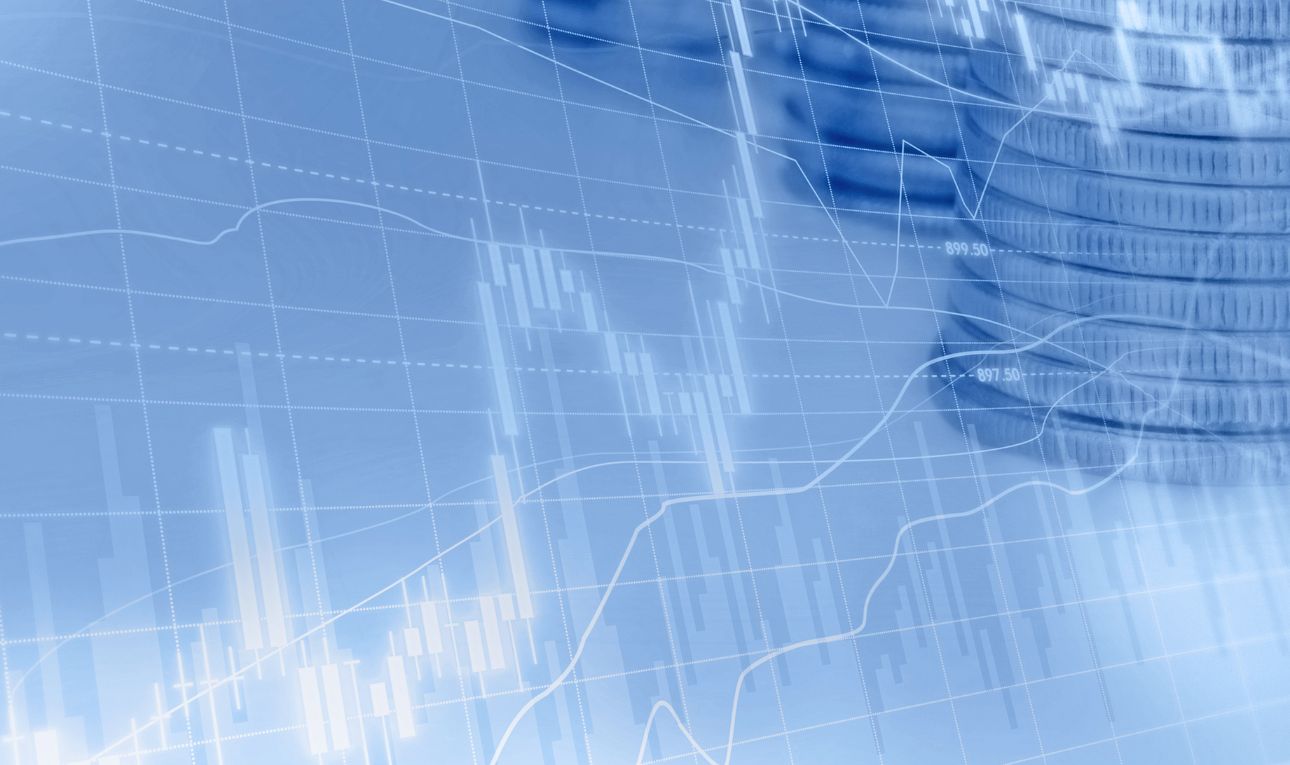 Invest in Large Cap Blue Chip Stocks