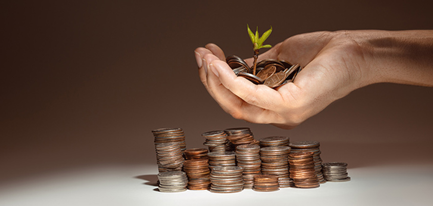 what are fixed income instruments