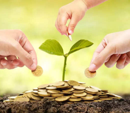 Mutual Funds